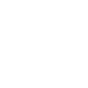 Mother tongue teachers