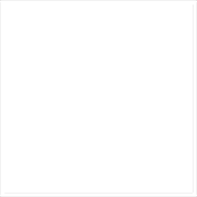 Transfer during the year